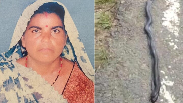 40 साल की प्रीति यादव को झांसी में नाग नागिन के जोड़े ने काटा, दावा - दोनों सांपों ने लिपट कर प्राण छोड़े! UP Tak