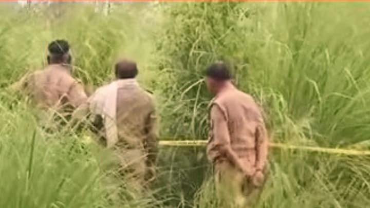 कौशांबी में 17 साल की लड़की की सेमी न्यूड बॉडी झाड़ियों में मिली, हाल देखकर सकते में रह गया हर कोई UP Tak