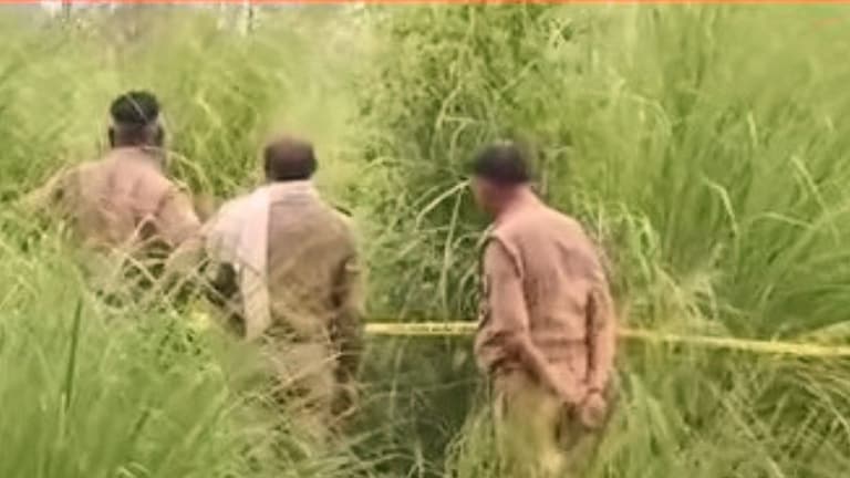 कौशांबी में 17 साल की लड़की की सेमी न्यूड बॉडी झाड़ियों में मिली, हाल देखकर सकते में रह गया हर कोई UP Tak