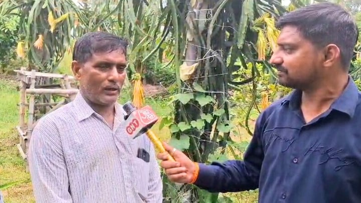 अयोध्या में ड्रैगन फ्रूट की खेती से बदली किस्मत, सरैया के किसान ने बताया 300 रुपये किलो बिक रहा फल, इतनी कमाई UP Tak
