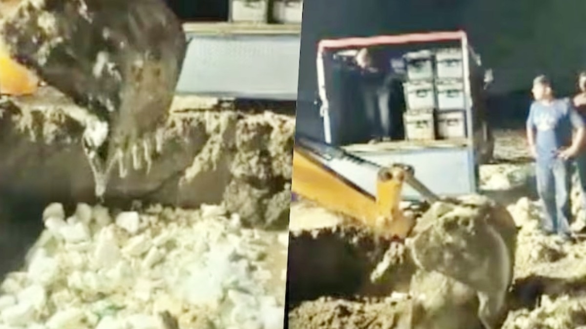 ग्रेटर नोएडा में 1150 किलो पनीर के चक्कर में नप गए चौकी प्रभारी अनूप दीक्षित और दारोगा संसार सिंह, पूरा मामला चौंका देगा
