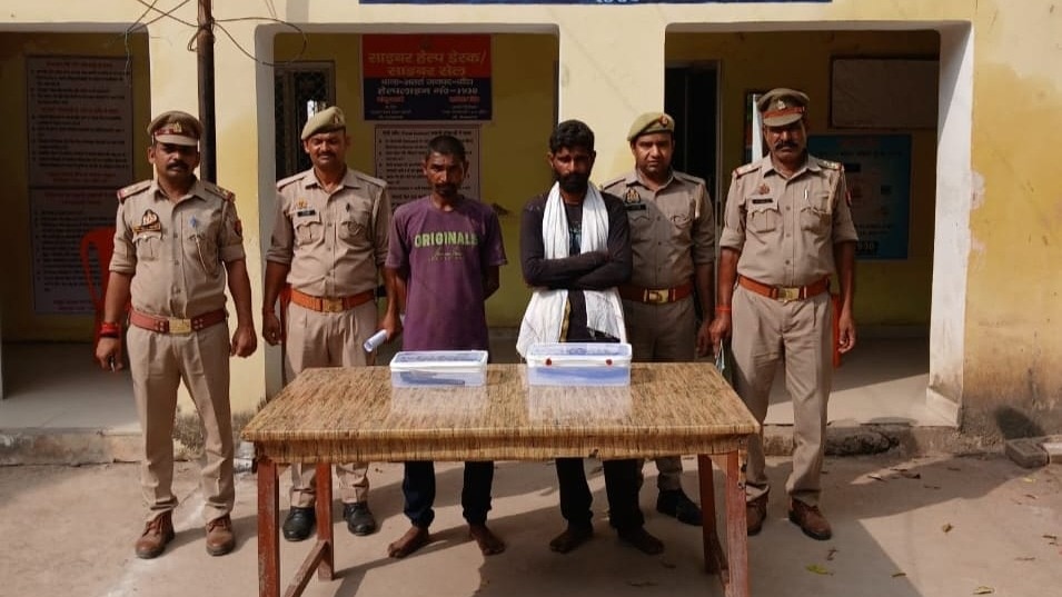 बांदा में बकरा चुराकर उसे काटकर खा गए सलीम और मनीष, गजब कांड के बाद जब पकड़े गए तो ये कहा