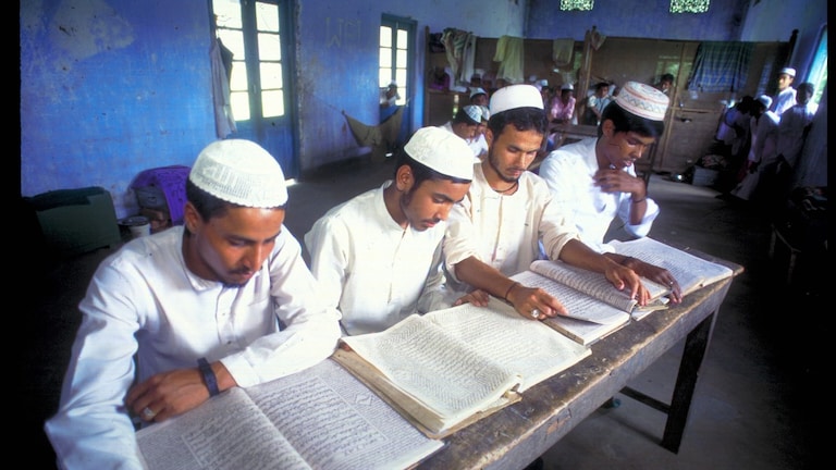 यूपी के 558 मदरसों के खिलाफ चल रही जांच पर इलाहाबाद हाई कोर्ट ने लगाई रोक, पूरा मामला समझ लीजिए UP Tak