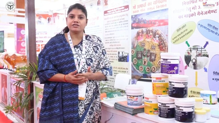 गाय का गोबर 5-10 रुपये प्रति किलो... सपना ने बताया यूपी में कैसे Cow dung paint से हो रही कमाई UP Tak