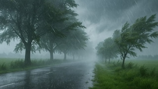 UP Weather Update: यूपी के इन 35+ जिलों में आज होगी घनघोर मॉनसूनी बारिश... इन 6 जनपद में रेड अलर्ट जारी UP Tak