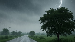 UP Weather Update: 40 किमी/घंटा की रफ्तार से आंधी-तूफान... 5 अक्टूबर को यूपी के इन 25+ जिलों में होगी मॉनसूनी बारिश UP Tak