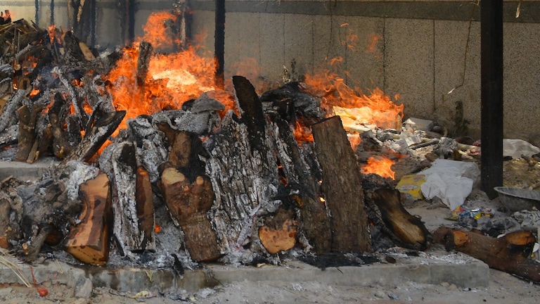 बागपत के श्मशान से गायब हो जा रहीं अस्थियां... 8 महीने से बदस्तूर चल रहा ये सिलसिला, खौफ में लोग सांकेतिक तस्वीर