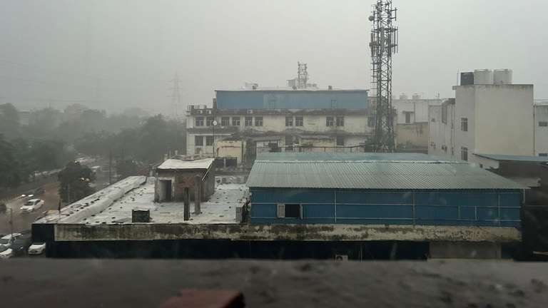 Noida Rain Update: नोएडा में अचानक छाए काले बादल... धुआंधार हुई बारिश, देखें Video Noida Rains