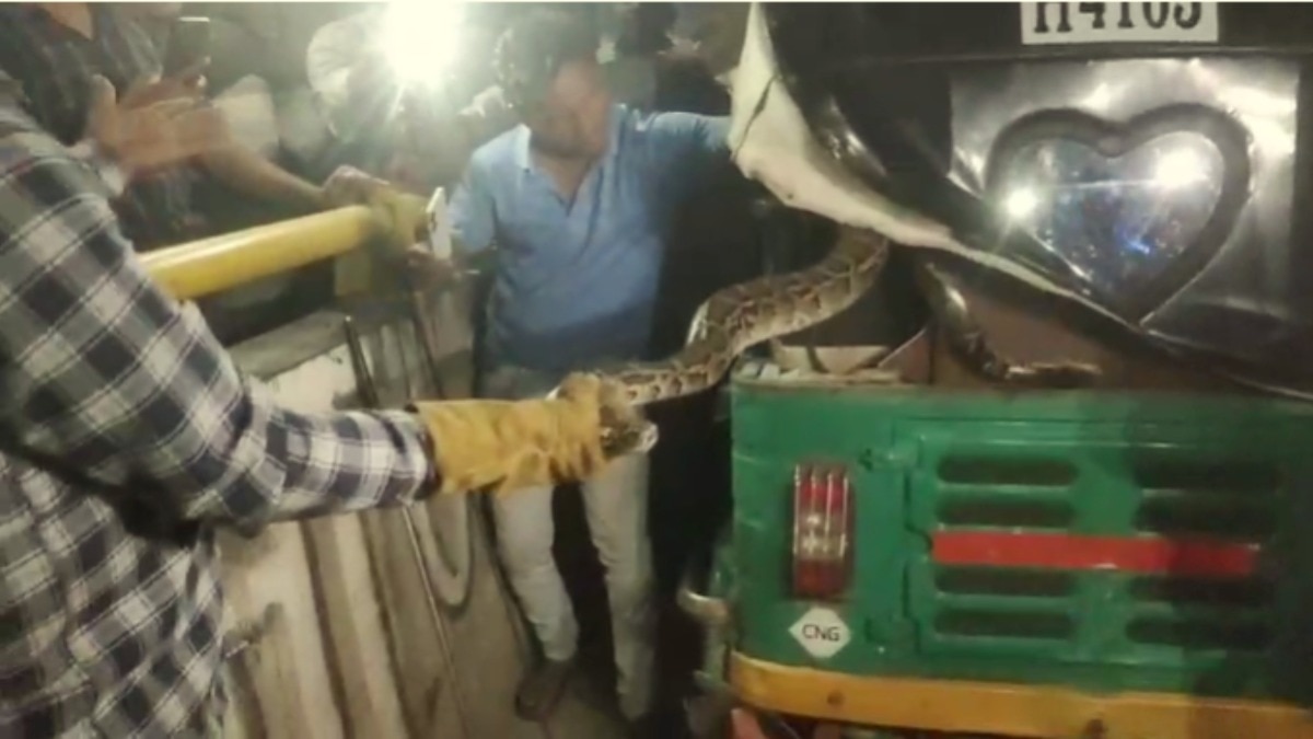 Hapur, Hapur news, Hapur viral news, Hapur viral video, up news, up viral video, हापुड़, हापुड़ न्यूज, हापुड़ वायरल वीडियो, ऑटो में सांप, सांप, अजगर