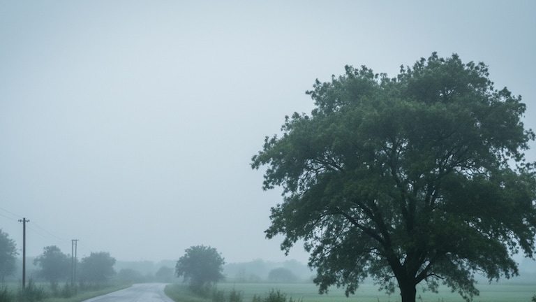 UP Weather Update: यूपी में गुलाबी सर्दी का दौर हुआ शुरू... 14 अक्टूबर को इन 10 जिलों में मौसम रहेगा ठंडा UP Weather Update