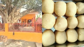 हाथरस में प्रसाद का लड्डू खाने से मचा हड़कंप, 16 बीमार तो 1 की मौत, ये मंदिर में आया कहां से था? UP Tak