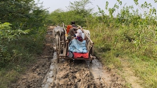 7 KM, 3 घंटे और अनगिनत चीखें... हमीरपुर में सड़क नहीं थी तो बैलगाड़ी पर प्रेग्नेंट बहू को ले गया ससुर UP Tak