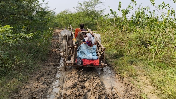 7 KM, 3 घंटे और अनगिनत चीखें... हमीरपुर में सड़क नहीं थी तो बैलगाड़ी पर प्रेग्नेंट बहू को ले गया ससुर Hamirpur News