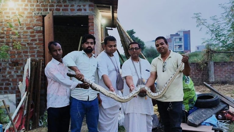 इटावा के इस्कॉन मंदिर में कहां से आ गया 6 फीट लंबा और 10 किलो वजनी अजगर? इसे देख डरे लोग UPTak