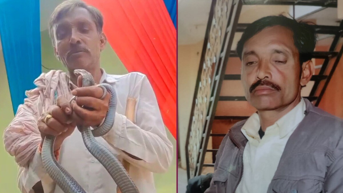 कोबरा सांप पकड़ घर लाए सहारनपुर के किसान रामकुमार, मुंह के पास ले जाकर लगे खेलने, उसने जीभ पर डंसा तो हुआ ये हाल Saharanpur Cobra Snake
