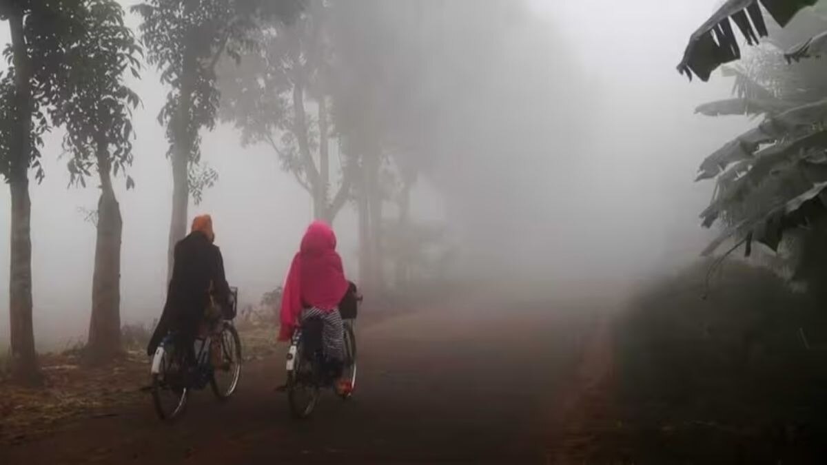 UP Weather Update: यूपी में अगले 3 दिनों में पलटेगा मौसम, IMD ने ठंड और कोहरे को लेकर इन 23 जिलों में जारी किया अलर्ट! Uttar Pradesh, dense fog
