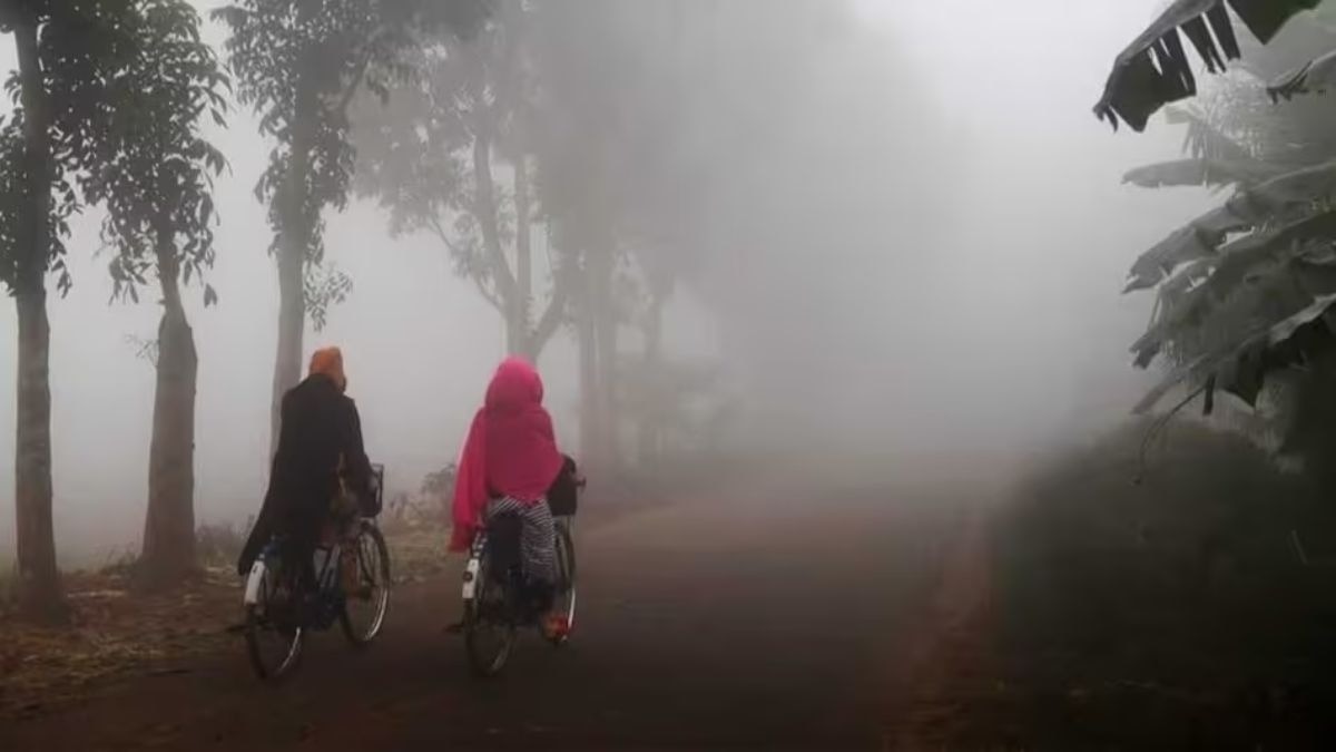 Uttar Pradesh, dense fog