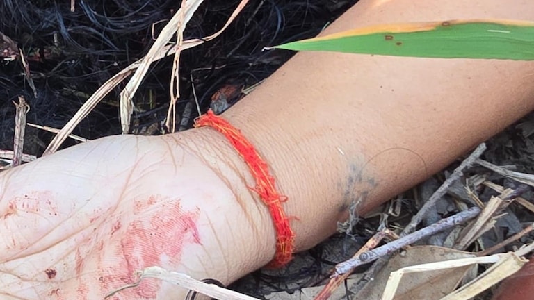 हमीरपुर में मिली थी महिला की न्यूड बॉडी, मृतका की पहचान सामने आई, जिसने मारा वो दरिंदा पुलिस का दारोगा Hamirpur Crime News