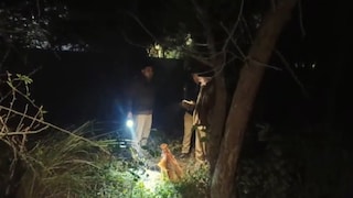 हापुड़ की पॉश प्रीत बिहार कॉलोनी में कुत्ते लेकर आ गए सिर और हाथ, फिर दिखाई दिया दिल दहलाने वाला मंजर UP Tak