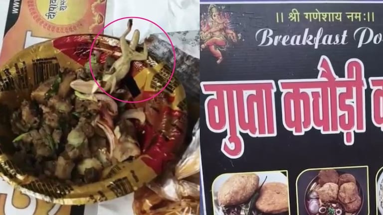 बाराबंकी की इस फेमस दुकान पर नाश्ता करने गए ग्राहक के प्लेट में सब्जी के साथ मिली फ्राई छिपकली, जमकर हुआ बवाल Barabanki News