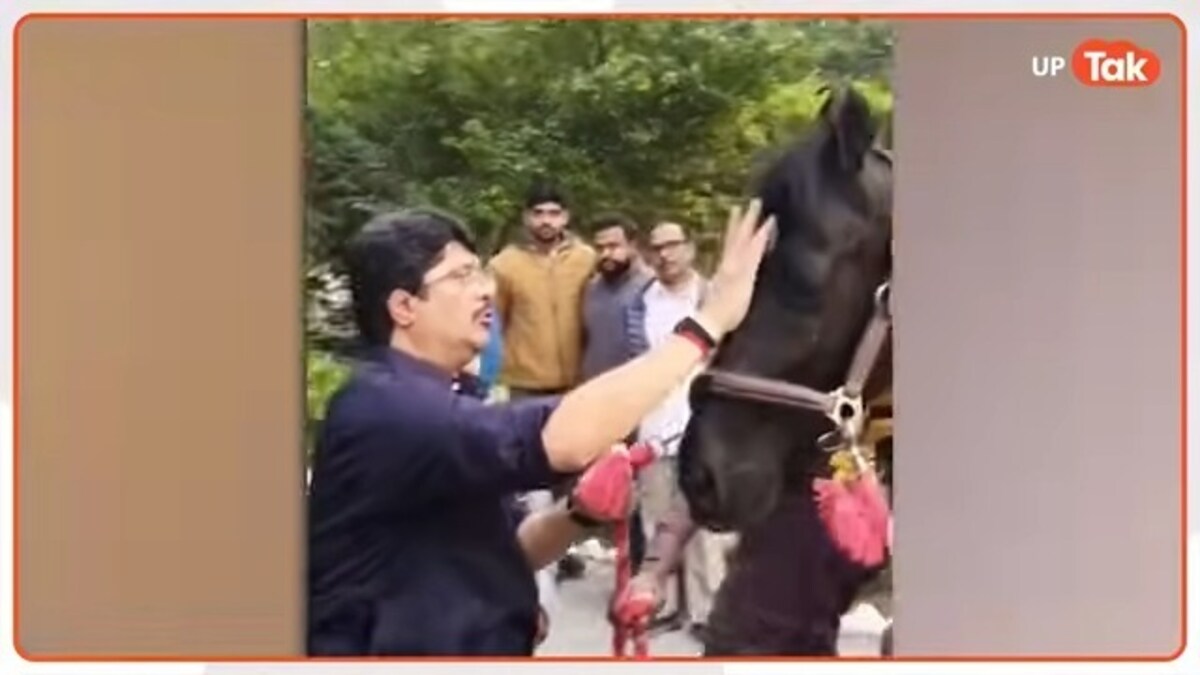 राजा भैया के अस्तबल में पहुंचा ट्रोजन, इस बेशकीमती घोड़े को देख लिया तो अब इसकी कहानी भी जान लीजिए Raja bhaiya with his new horse
