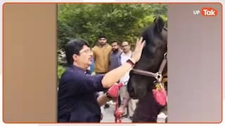 राजा भैया के अस्तबल में पहुंचा ट्रोजन, इस बेशकीमती घोड़े को देख लिया तो अब इसकी कहानी भी जान लीजिए UP Tak