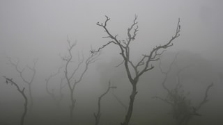 UP Weather Update: ठंड ने पकड़ी रफ्तार, अब ऐसा हो जाएगा मौसम... आज यूपी के इन 10+ जिलों में पड़ सकता है कोहरा UP Tak