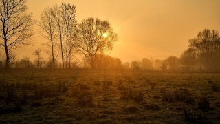 UP Weather 28th November 2025: IMD ने दिया नया अलर्ट, यूपी में अगले 48 घंटों के बाद ऐसा हो जाएगा मौसम UP Tak