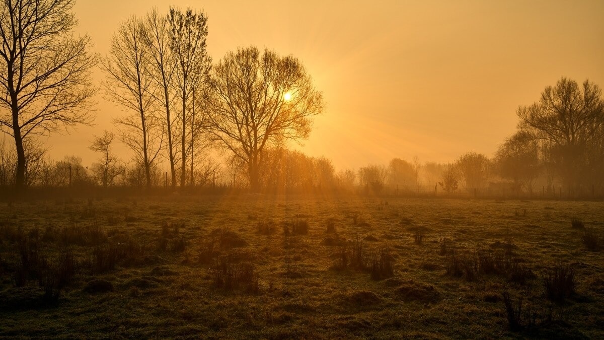 UP Cold Wave Alert: नहीं मिलेगी ठंड से कोई राहत, मौसम विभाग के इस अपडेट ने सब कुछ साफ किया