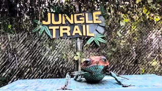 अब बच्चे नहीं होंगे बोर! नोएडा के Jungle Trail Park में पिकनिक स्पॉट और एडवेंचर गेम्स सब कुछ मिलेंगे एक ही जगह UP Tak