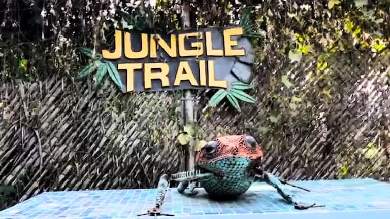 अब बच्चे नहीं होंगे बोर! नोएडा के Jungle Trail Park में पिकनिक स्पॉट और एडवेंचर गेम्स सब कुछ मिलेंगे एक ही जगह Noida Jungle Trail Park