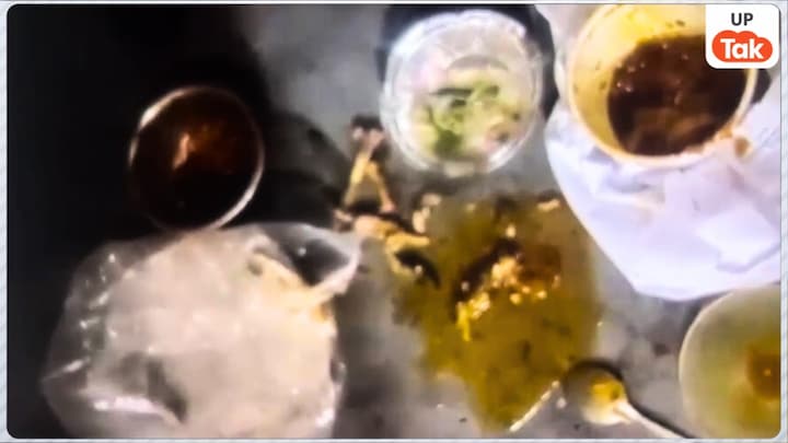 नीरज ने आधा कड़ाही चिकन जब खा लिया तो उसमें दिखी मरी हुई छिपकली... फिर तो इस लड़के के साथ जो हुआ! UP News