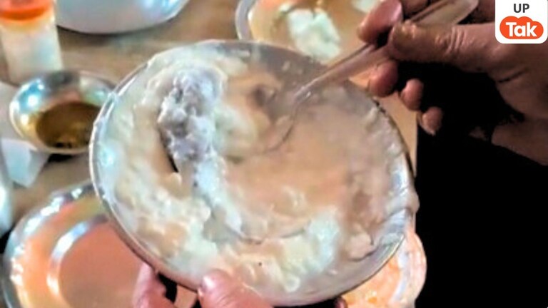 दही के प्लेट में निकला मरा हुआ चूहा...! गाजीपुर के इस रेस्तरां में ग्राहक के साथ जो हुआ आप माथा पकड़ लेंगे UP Tak