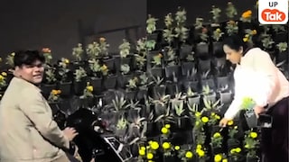 लखनऊ में खुलेआम सड़कों पर मची इस चीज की लूट, लड़कियां भी थीं शामिल! UP Tak