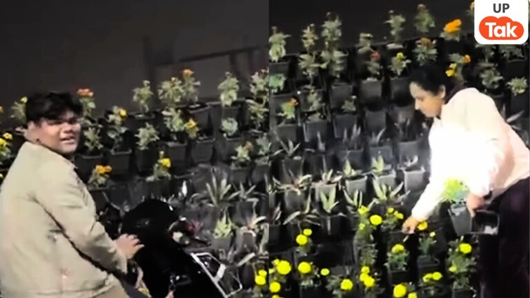 लखनऊ में खुलेआम सड़कों पर मची इस चीज की लूट, लड़कियां भी थीं शामिल! Lucknow News