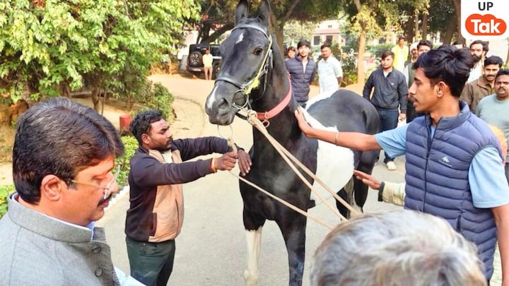 राजा भैया को गिफ्ट में मिला 1.5 करोड़ का घोड़ा 'विजयराज', किसने दिया उन्हें इतना महंगा तोहफा? UP Tak