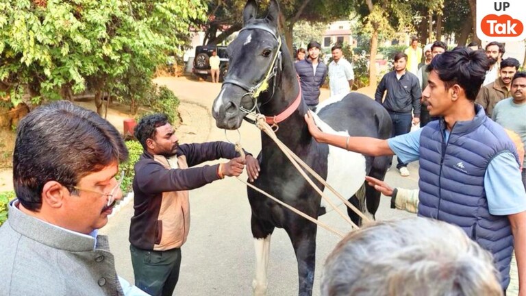 राजा भैया को गिफ्ट में मिला 1.5 करोड़ का घोड़ा 'विजयराज', किसने दिया उन्हें इतना महंगा तोहफा? UP Tak