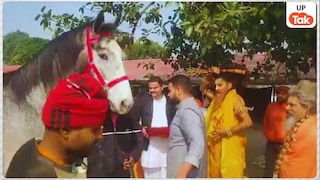 कौन हैं रवि चौहान जिन्होंने बृजभूषण शरण सिंह के जन्मदिन पर दे दिया महंगा घोड़ा, कीमत जान चौंक जाएंगे UP Tak