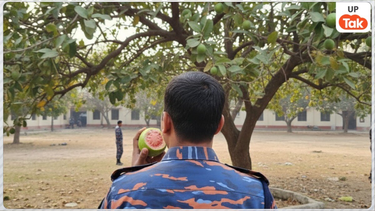 दफ्तर में लगे पेड़ का अमरूद खाने वाले सिपाही को मिल गई नोटिस! ये वाकया आपको हैरान कर देगा Lucknow News:सांकेतिक तस्वीर