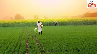 यूपी में जिनके पास जमीन नहीं उन्हें कुछ इस तरह मिल रहे खेती वाले प्लॉट! 70% टारगेट पूरा UP Tak