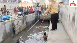 नाले में बच्चे के गिरने की खबर पाते ही सीधे उसमें कूद गए थानेदार अरुण मिश्रा, उनकी इस बहादुरी को देखकर हर कोई दंग! UP Tak