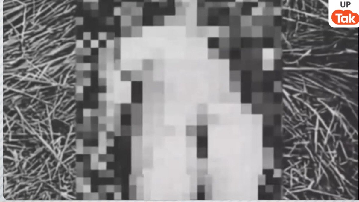 Gorakhpur Crime News