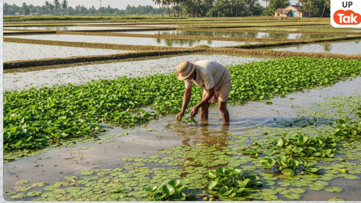 UP Khet Talab Yojana