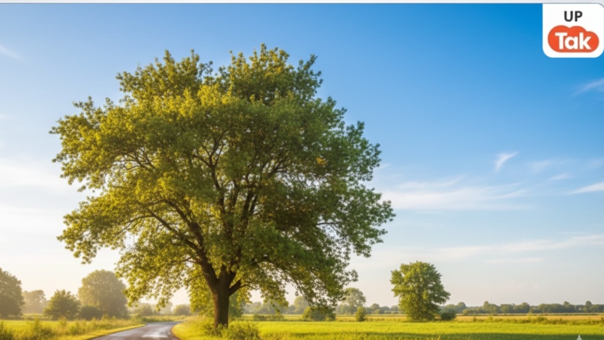UP Weather Update: यूपी के मौसम में आज से आएगा ऐसा बदलाव जिसकी नहीं थी उम्मीद... अगले 48 घंटे ऐसा रहेगा हाल  