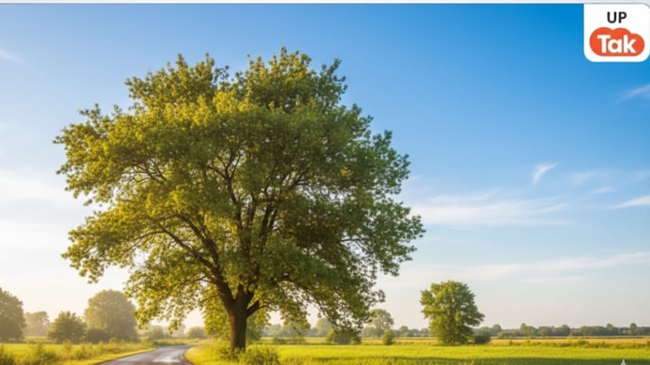 UP Weather Update: यूपी के मौसम में आज से आएगा ऐसा बदलाव जिसकी नहीं थी उम्मीद... अगले 48 घंटे ऐसा रहेगा हाल UP Weather Update