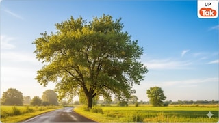 UP Weather Update: यूपी में अब बदल जाएगा मौसम, 12 से 13 फरवरी के बीच तापमान में दिखेंगे ये बड़े बदलाव UP Tak