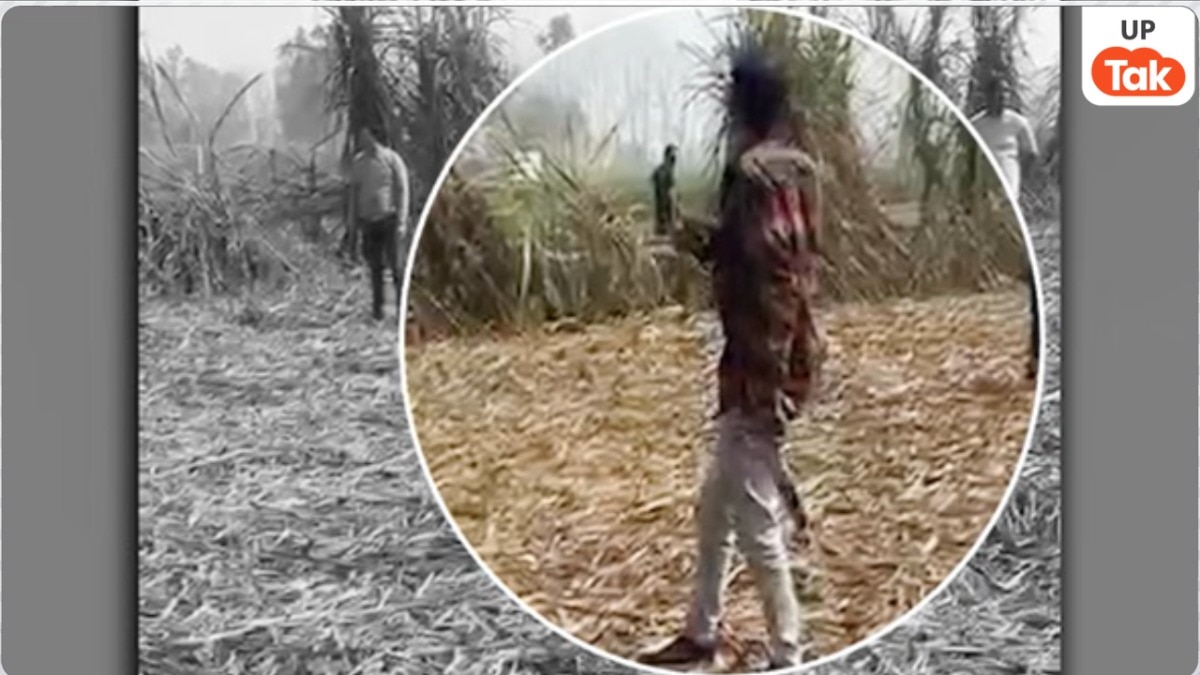 viral video screengrab