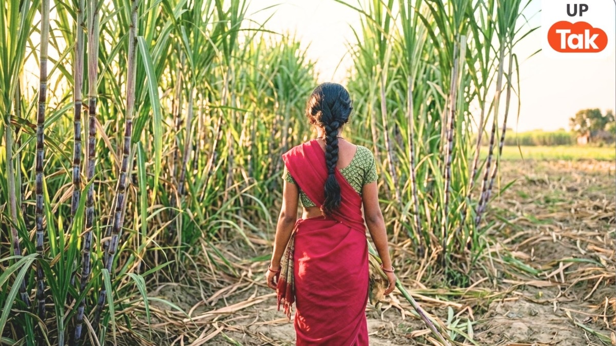 बैंक जाने निकली 17 साल की छात्रा का 8 दिन बाद गन्ने के खेत में मिला अर्धनग्न शव, लखीमपुर खीरी का ये केस होश उड़ा देगा...