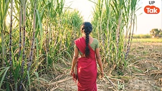 बैंक जाने निकली 17 साल की छात्रा का 8 दिन बाद गन्ने के खेत में मिला अर्धनग्न शव, लखीमपुर खीरी का ये केस होश उड़ा देगा... UP Tak