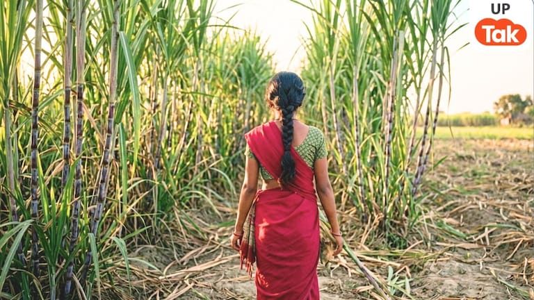 बैंक जाने निकली 17 साल की छात्रा का 8 दिन बाद गन्ने के खेत में मिला अर्धनग्न शव, लखीमपुर खीरी का ये केस होश उड़ा देगा... UP Tak